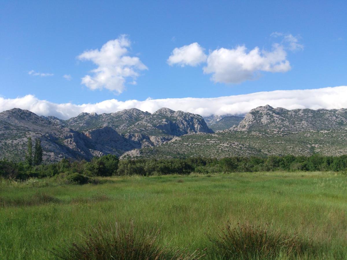 Apartments Amari Starigrad Paklenica